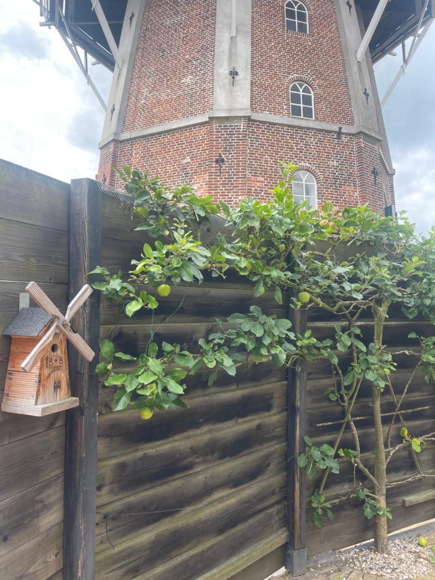 B&B Het Molenhuisje Winschoten - Met Woonkamer & Keuken מראה חיצוני תמונה